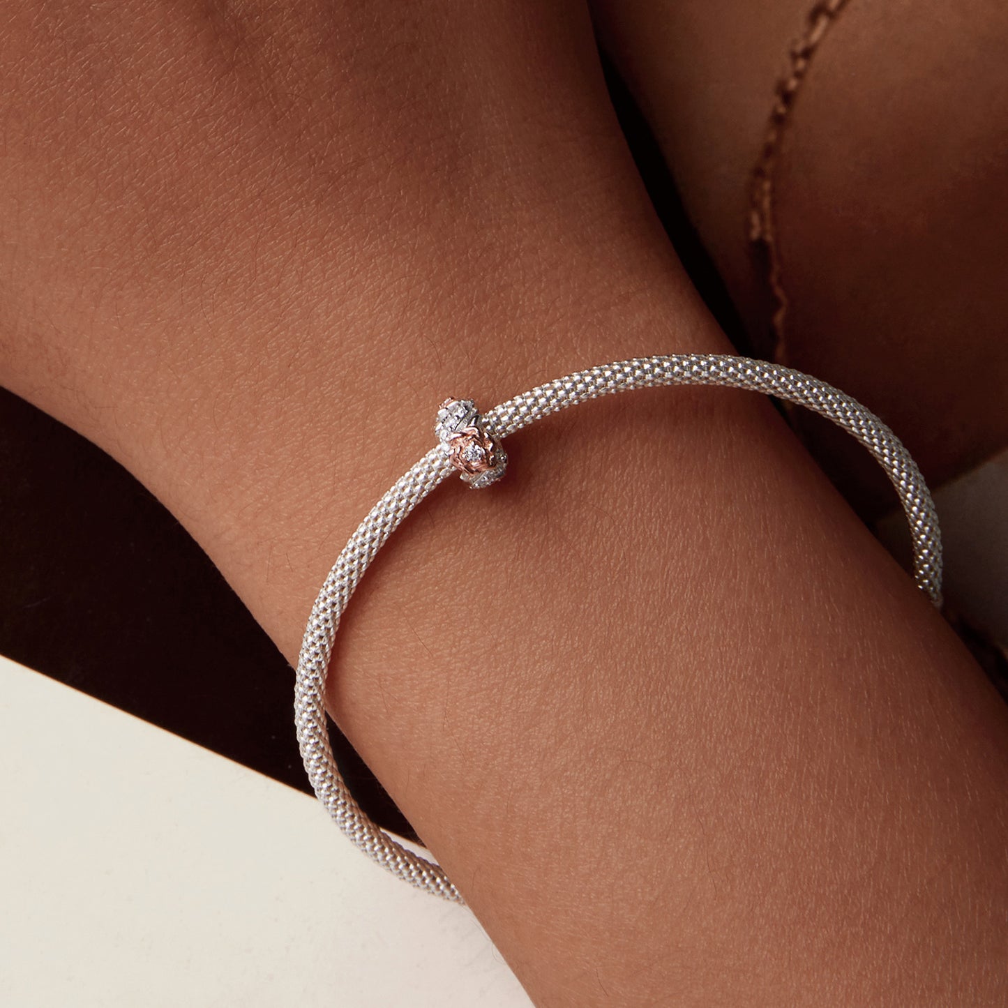 Charm "Giro di Rose" 🌸💫