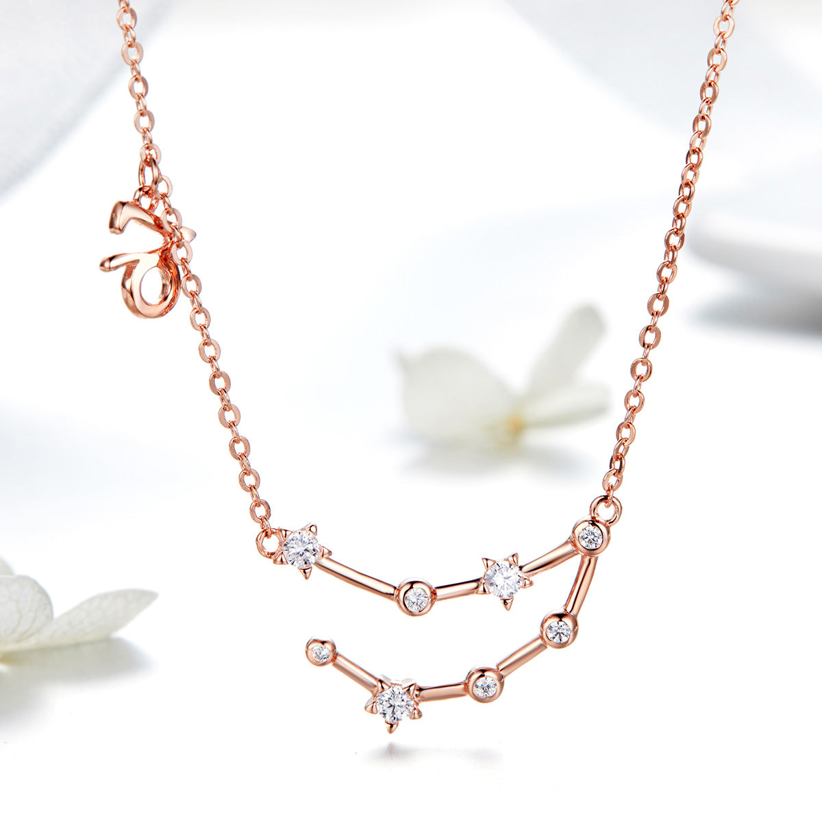 Collana "Costellazione del Capricorno" ♑✨