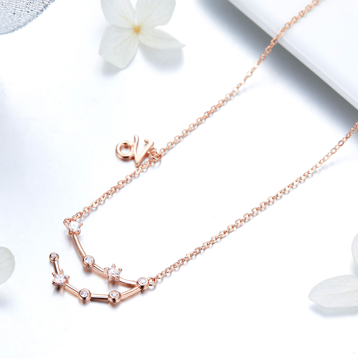 Collana "Costellazione del Capricorno" ♑✨