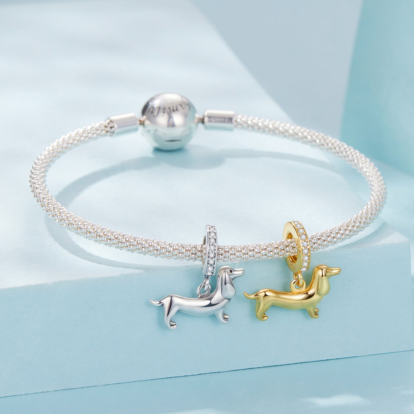 Charm "Fedele Amico" 🐶✨