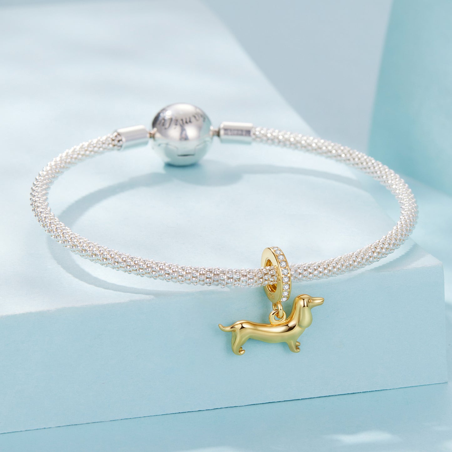 Charm "Fedele Amico" 🐶✨